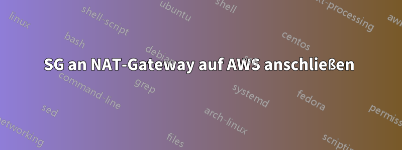 SG an NAT-Gateway auf AWS anschließen