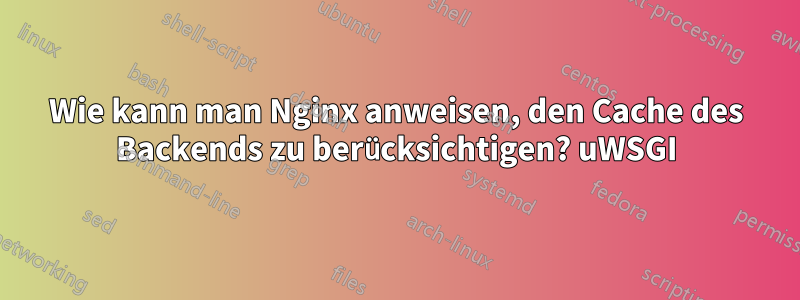 Wie kann man Nginx anweisen, den Cache des Backends zu berücksichtigen? uWSGI