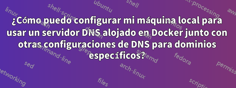 ¿Cómo puedo configurar mi máquina local para usar un servidor DNS alojado en Docker junto con otras configuraciones de DNS para dominios específicos?