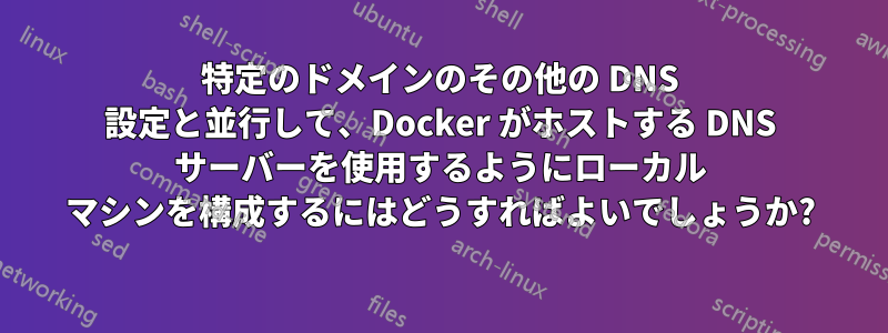 特定のドメインのその他の DNS 設定と並行して、Docker がホストする DNS サーバーを使用するようにローカル マシンを構成するにはどうすればよいでしょうか?