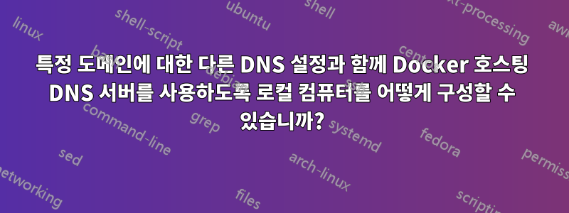 특정 도메인에 대한 다른 DNS 설정과 함께 Docker 호스팅 DNS 서버를 사용하도록 로컬 컴퓨터를 어떻게 구성할 수 있습니까?