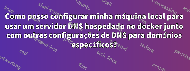 Como posso configurar minha máquina local para usar um servidor DNS hospedado no docker junto com outras configurações de DNS para domínios específicos?