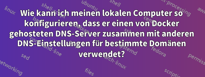 Wie kann ich meinen lokalen Computer so konfigurieren, dass er einen von Docker gehosteten DNS-Server zusammen mit anderen DNS-Einstellungen für bestimmte Domänen verwendet?