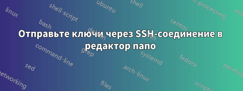 Отправьте ключи через SSH-соединение в редактор nano