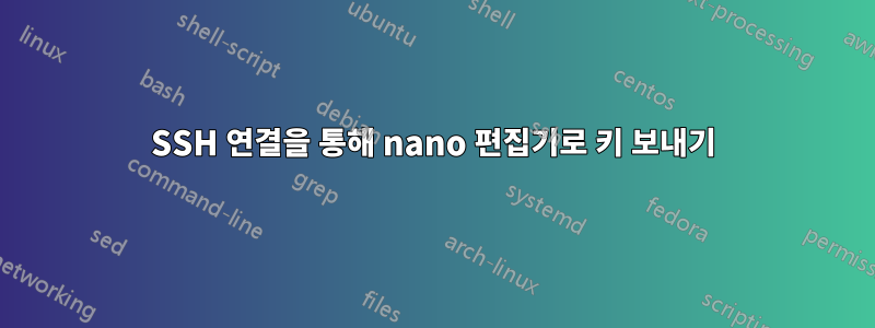 SSH 연결을 통해 nano 편집기로 키 보내기