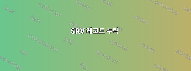 SRV 레코드 누락