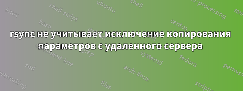 rsync не учитывает исключение копирования параметров с удаленного сервера