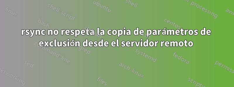 rsync no respeta la copia de parámetros de exclusión desde el servidor remoto