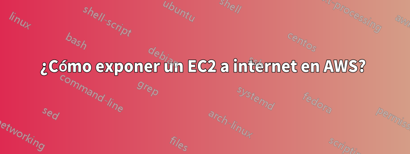 ¿Cómo exponer un EC2 a internet en AWS?