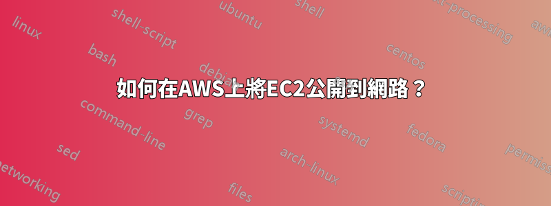 如何在AWS上將EC2公開到網路？