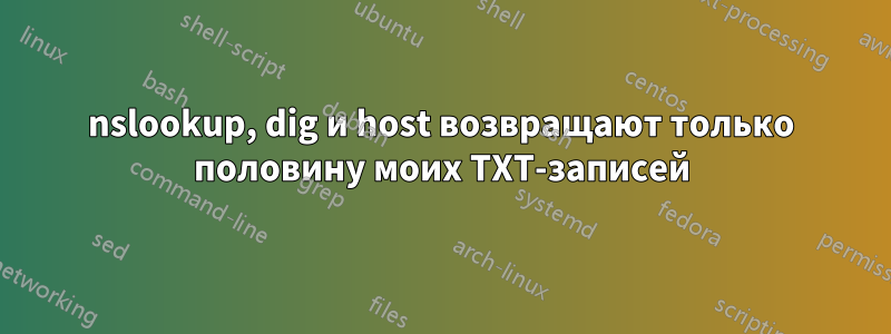 nslookup, dig и host возвращают только половину моих TXT-записей