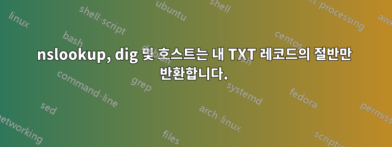 nslookup, dig 및 호스트는 내 TXT 레코드의 절반만 반환합니다.