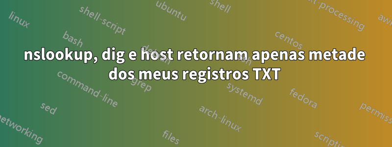 nslookup, dig e host retornam apenas metade dos meus registros TXT