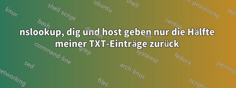 nslookup, dig und host geben nur die Hälfte meiner TXT-Einträge zurück