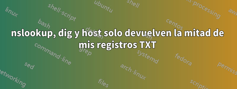 nslookup, dig y host solo devuelven la mitad de mis registros TXT