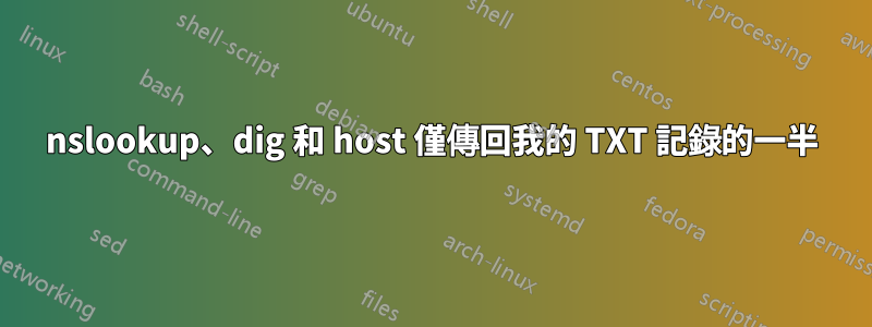 nslookup、dig 和 host 僅傳回我的 TXT 記錄的一半