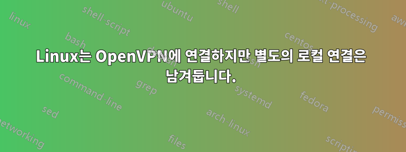 Linux는 OpenVPN에 연결하지만 별도의 로컬 연결은 남겨둡니다.