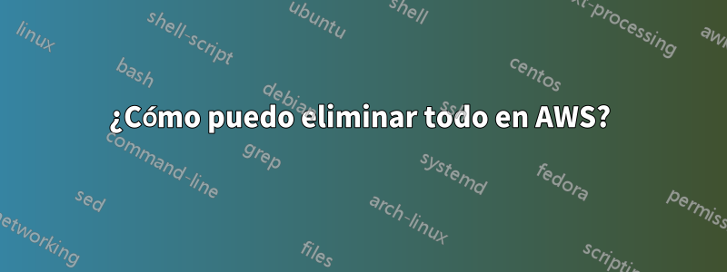 ¿Cómo puedo eliminar todo en AWS?