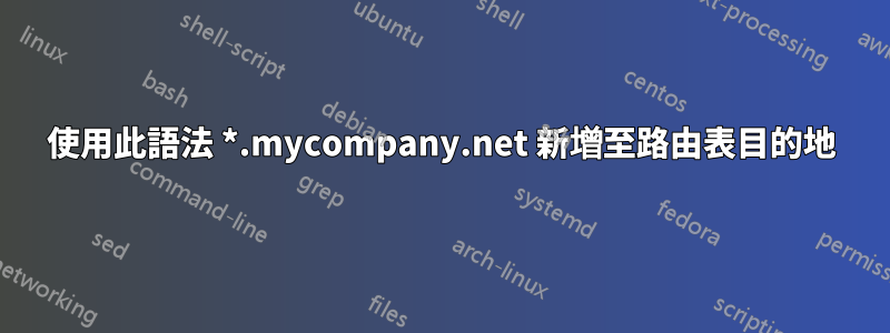 使用此語法 *.mycompany.net 新增至路由表目的地