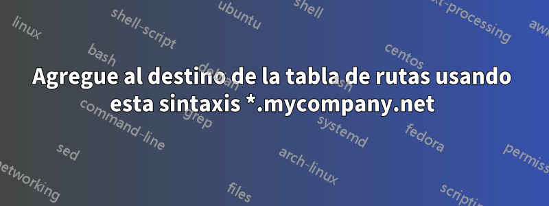 Agregue al destino de la tabla de rutas usando esta sintaxis *.mycompany.net