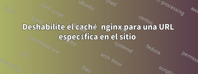 Deshabilite el caché nginx para una URL específica en el sitio 