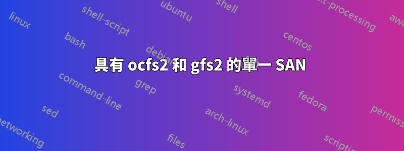 具有 ocfs2 和 gfs2 的單一 SAN