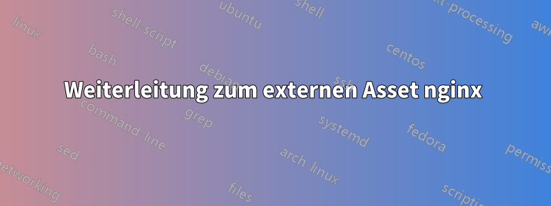 Weiterleitung zum externen Asset nginx