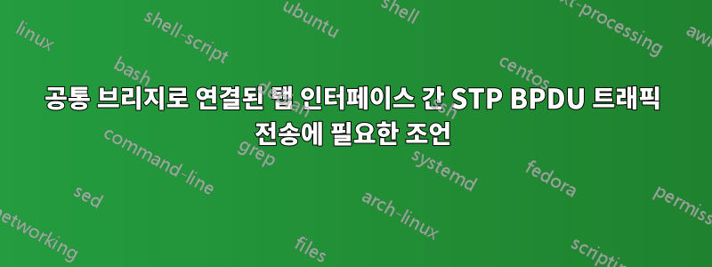 공통 브리지로 연결된 탭 인터페이스 간 STP BPDU 트래픽 전송에 필요한 조언