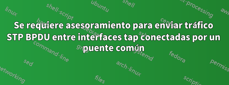 Se requiere asesoramiento para enviar tráfico STP BPDU entre interfaces tap conectadas por un puente común