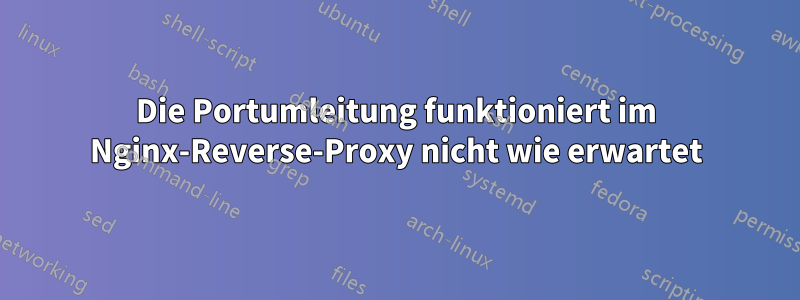 Die Portumleitung funktioniert im Nginx-Reverse-Proxy nicht wie erwartet