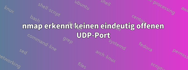 nmap erkennt keinen eindeutig offenen UDP-Port