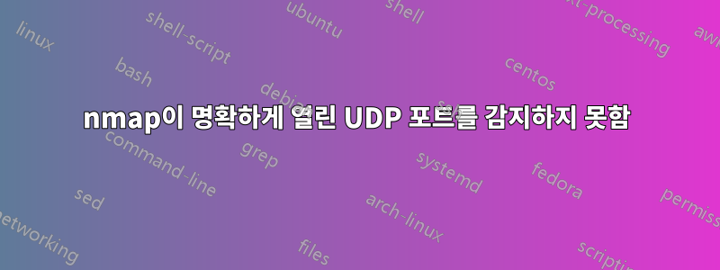 nmap이 명확하게 열린 UDP 포트를 감지하지 못함