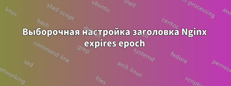 Выборочная настройка заголовка Nginx expires epoch