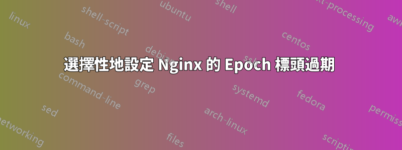 選擇性地設定 Nginx 的 Epoch 標頭過期