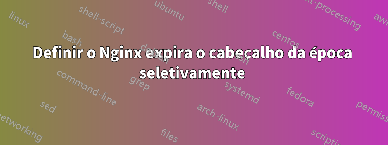 Definir o Nginx expira o cabeçalho da época seletivamente