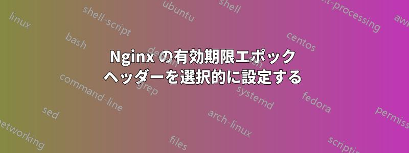 Nginx の有効期限エポック ヘッダーを選択的に設定する