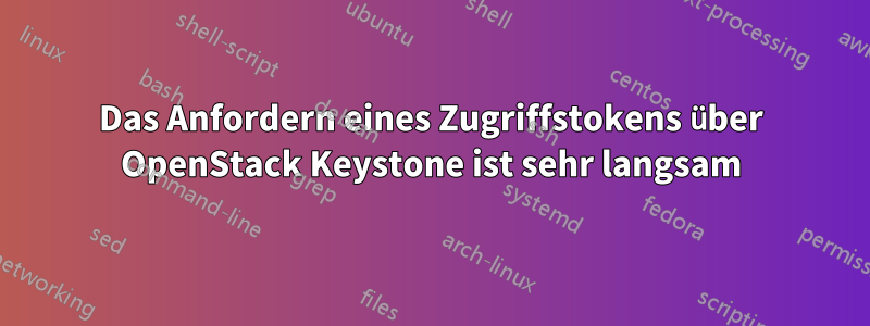 Das Anfordern eines Zugriffstokens über OpenStack Keystone ist sehr langsam