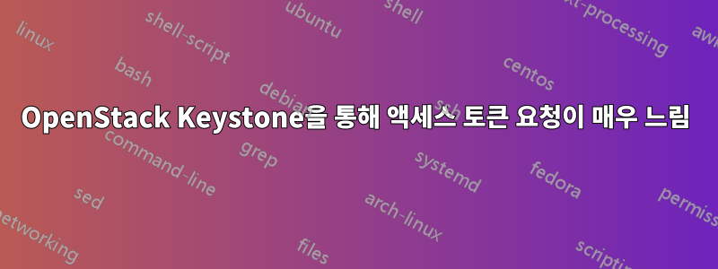 OpenStack Keystone을 통해 액세스 토큰 요청이 매우 느림