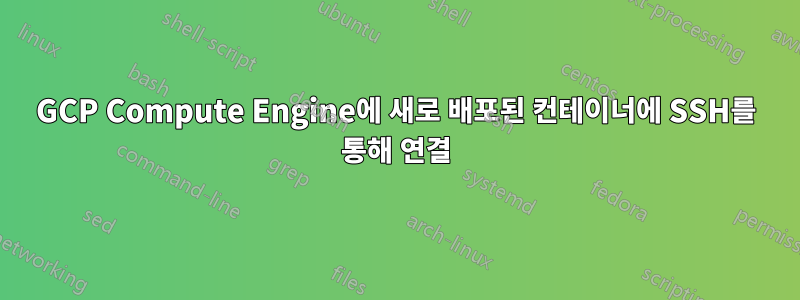 GCP Compute Engine에 새로 배포된 컨테이너에 SSH를 통해 연결