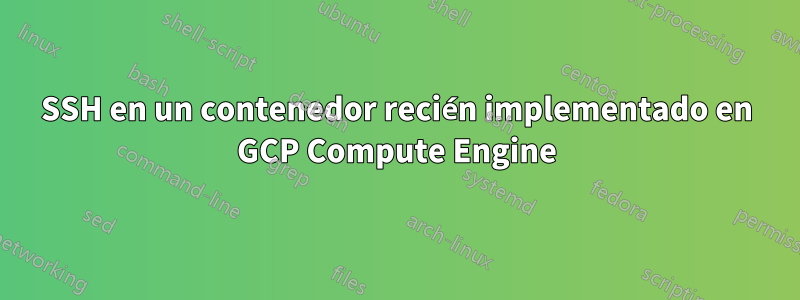 SSH en un contenedor recién implementado en GCP Compute Engine