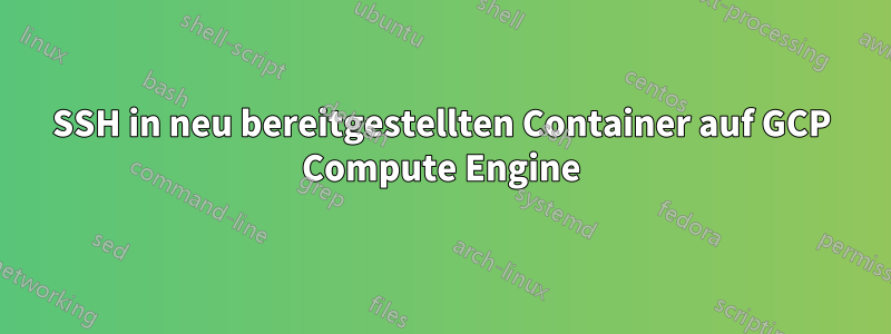 SSH in neu bereitgestellten Container auf GCP Compute Engine