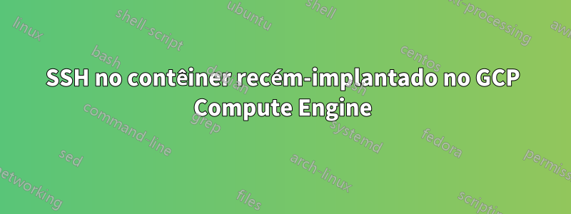 SSH no contêiner recém-implantado no GCP Compute Engine