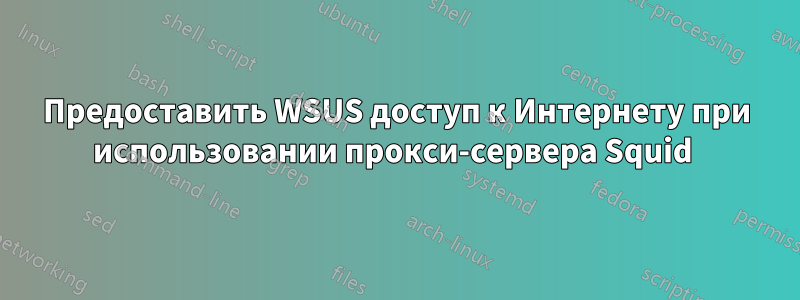 Предоставить WSUS доступ к Интернету при использовании прокси-сервера Squid 