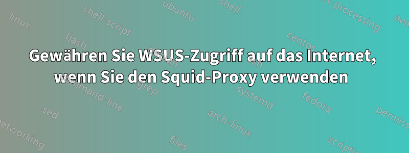 Gewähren Sie WSUS-Zugriff auf das Internet, wenn Sie den Squid-Proxy verwenden 