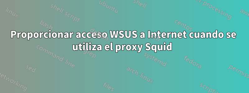 Proporcionar acceso WSUS a Internet cuando se utiliza el proxy Squid 