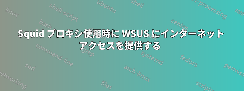 Squid プロキシ使用時に WSUS にインターネット アクセスを提供する 