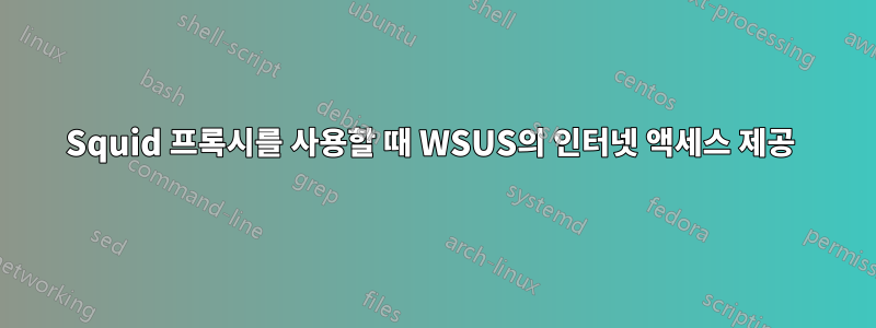 Squid 프록시를 사용할 때 WSUS의 인터넷 액세스 제공 