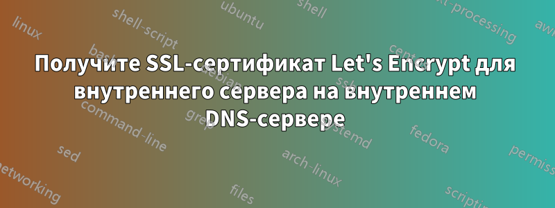 Получите SSL-сертификат Let's Encrypt для внутреннего сервера на внутреннем DNS-сервере