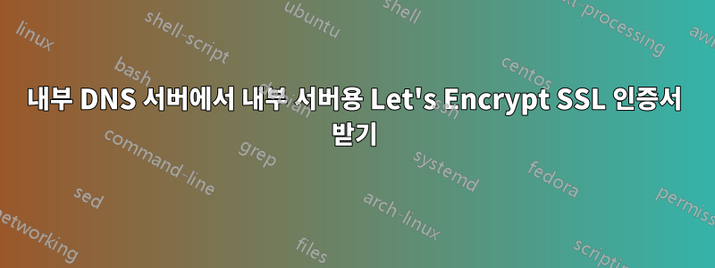 내부 DNS 서버에서 내부 서버용 Let's Encrypt SSL 인증서 받기