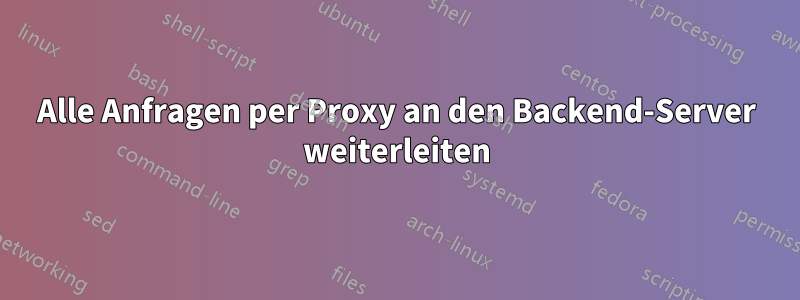 Alle Anfragen per Proxy an den Backend-Server weiterleiten